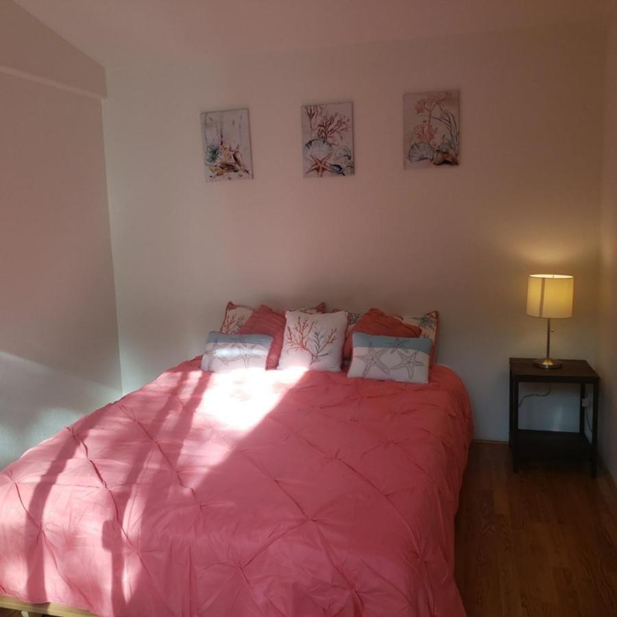 Whaleshead Beach Resort 布鲁金斯 外观 照片